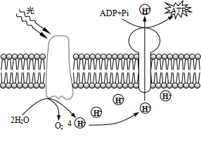 D:\Documents\Tencent Files\648678991\Image\C2C\JBD~CB5OE@_2Z2YT{Y9OOWT.png