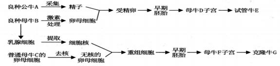 学科网 版权所有