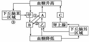 学科网 版权所有