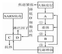 学科网 版权所有