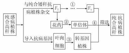 学科网 版权所有