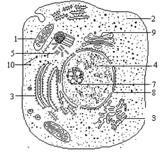 高考资源网(ks5u.com),中国最大的高考网站,您身边的高考专家。