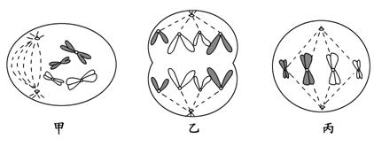 高考资源网(ks5u.com),中国最大的高考网站,您身边的高考专家。
